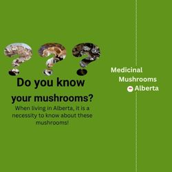 Square Sized Ad questions your knowledge about mushrooms and the necessity for Albertans to know about mushrooms.
